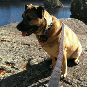 Fundraising Page: Catherine Boland-Deis